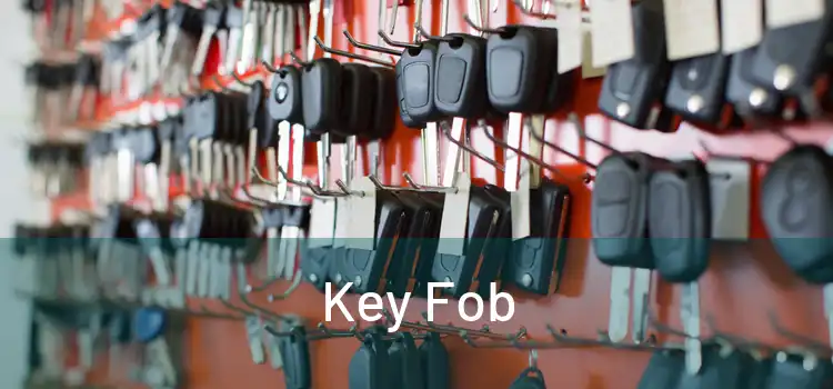  Key Fob 